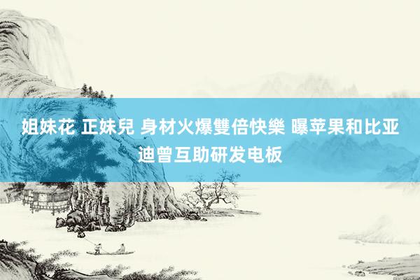 姐妹花 正妹兒 身材火爆雙倍快樂 曝苹果和比亚迪曾互助研发电板