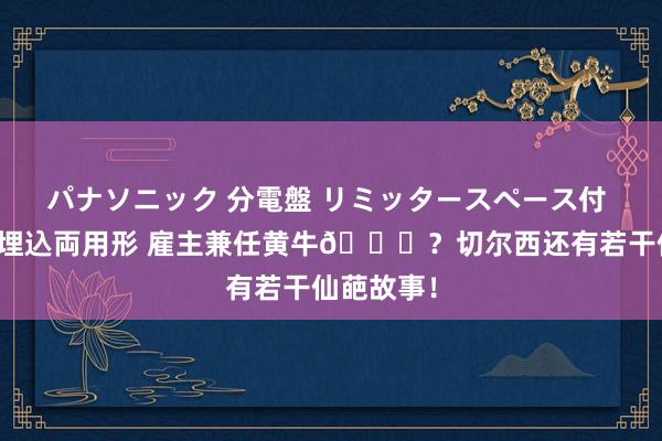 パナソニック 分電盤 リミッタースペース付 露出・半埋込両用形 雇主兼任黄牛🐂？切尔西还有若干仙葩故事！